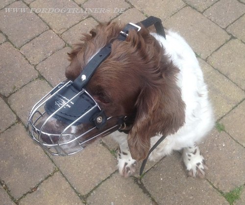 Springer Spaniel Drahtmaulkorb mit super Lüftung - zum Schließen ins Bild klicken